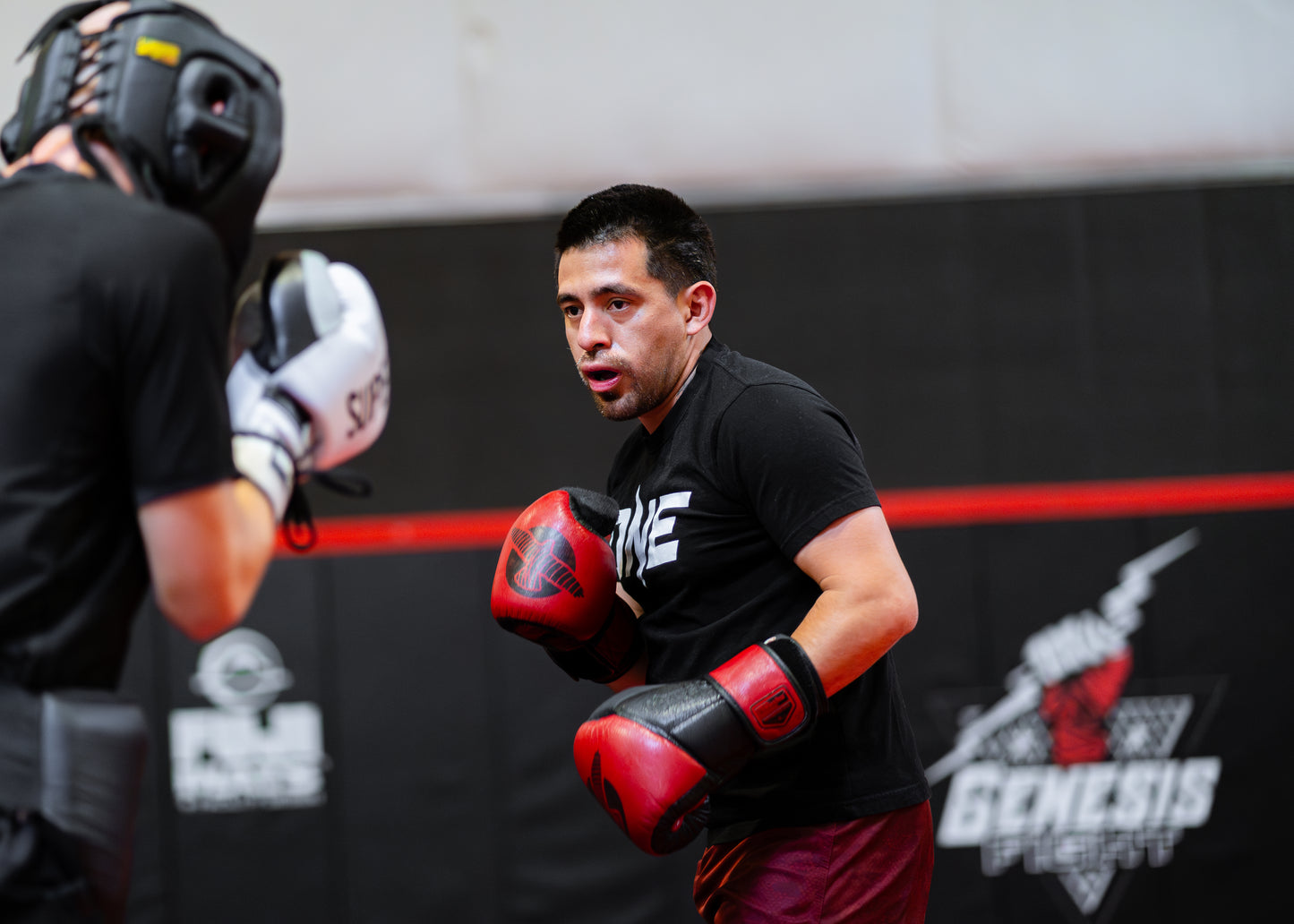 Fight Camp